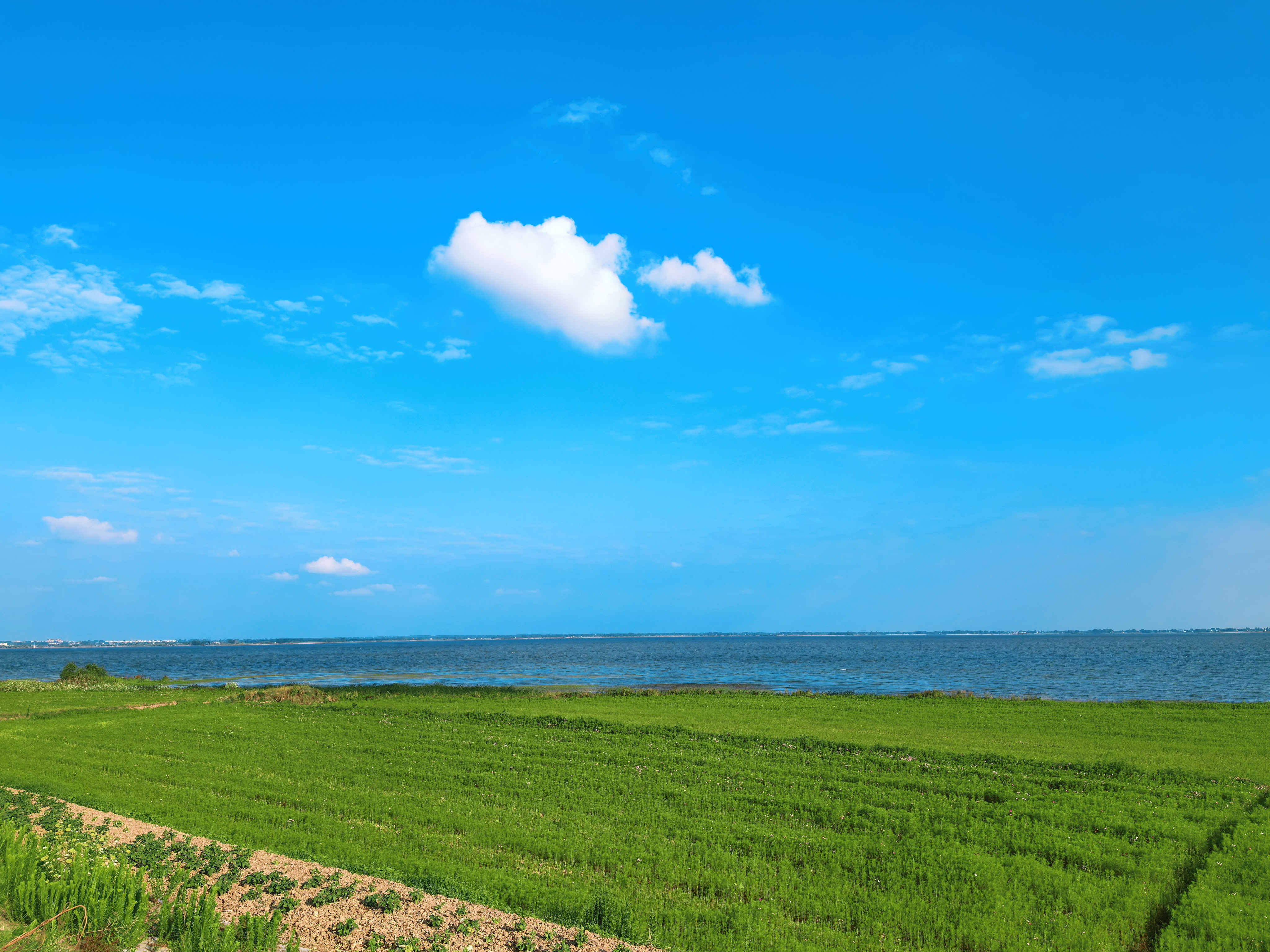 城东湖开阔湖面与草岸远景