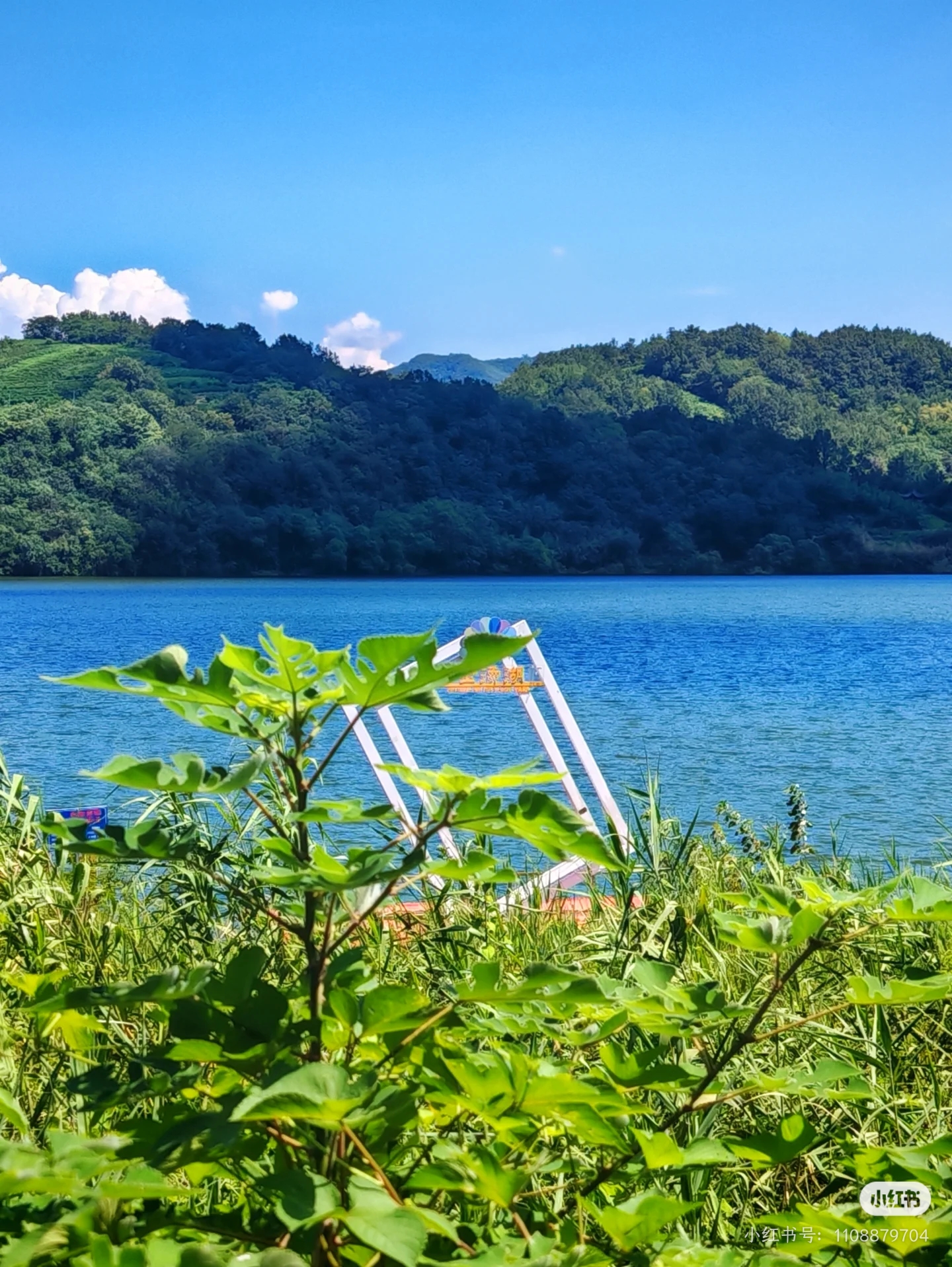 金汤湖岸边绿植与蓝色湖面