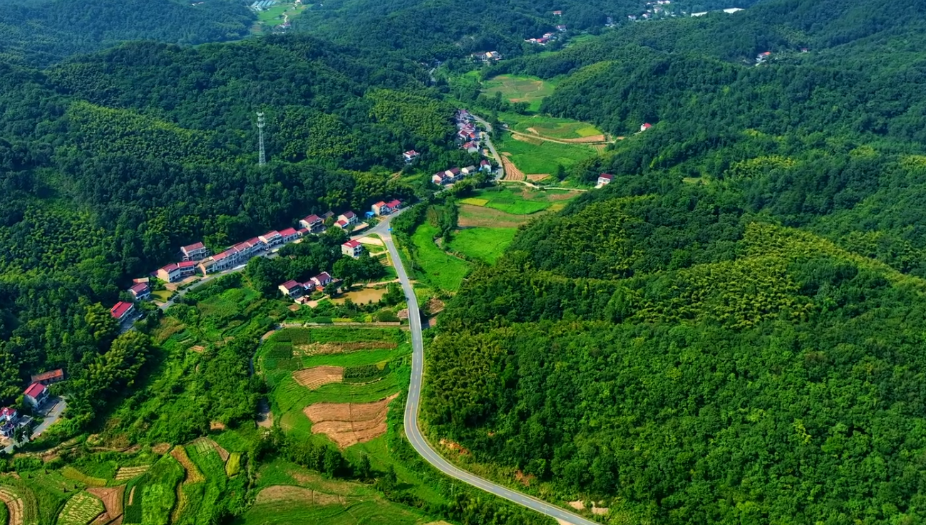 九十里山水画廊的盘山公路与林地转弯