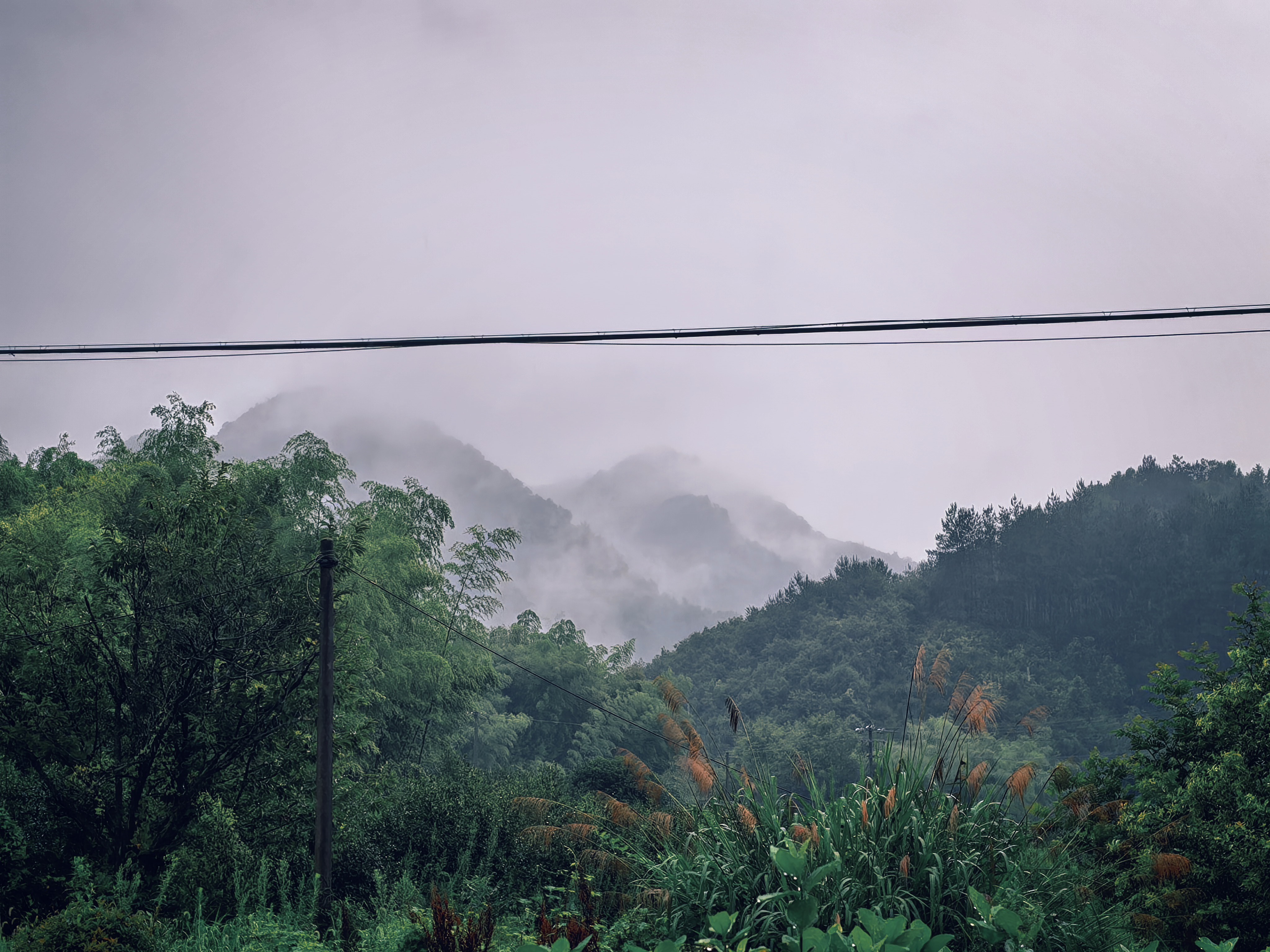 石关景区山谷雾景与林木