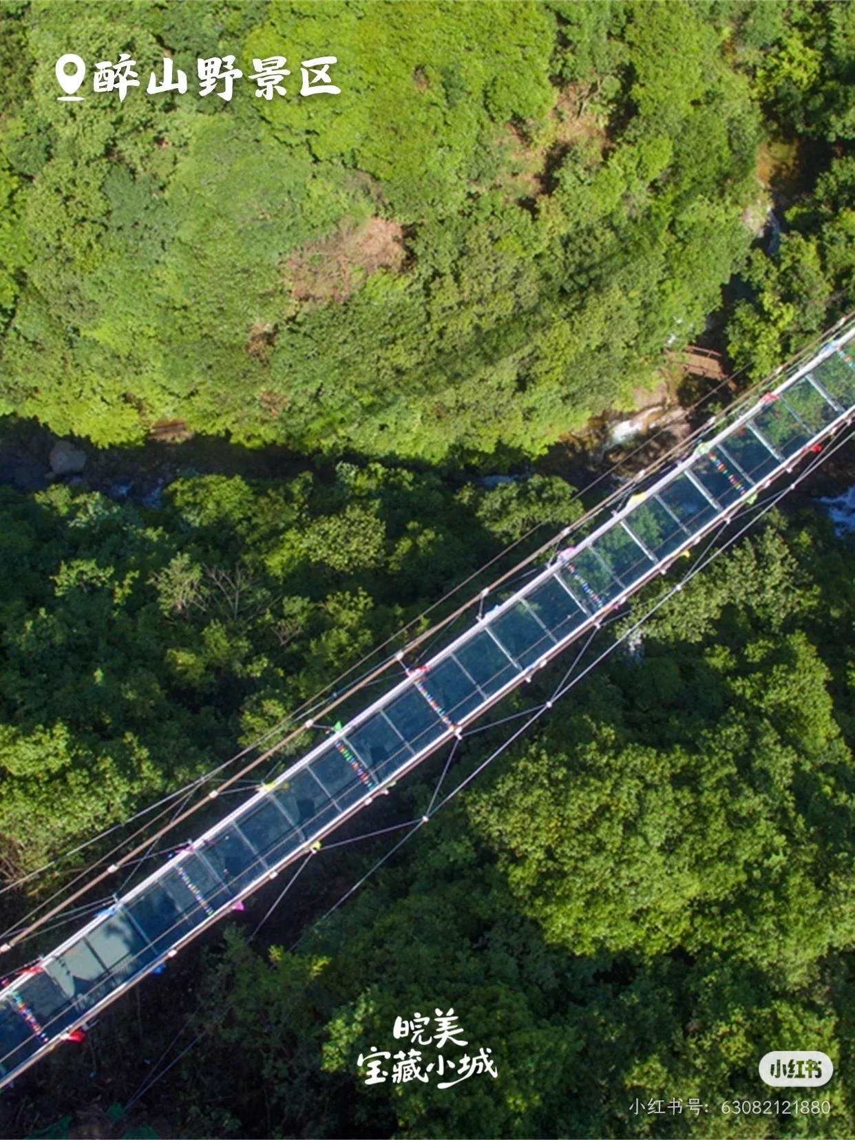 醉山野景区林间玻璃栈道航拍
